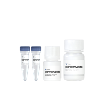 Vazyme - Pyrophosphatase, Inorganic (yeast, 0.1 U/μl, GMP Grade)