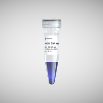 Vazyme - DL5000 DNA Marker