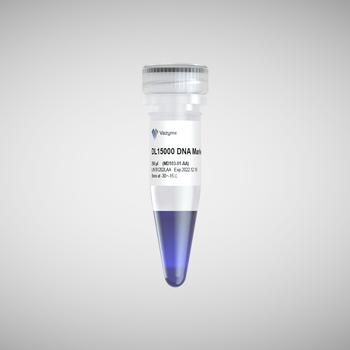 Vazyme - DL15000 DNA Marker