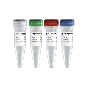 Vazyme - miRNA 1st Strand cDNA Synthesis Kit (by stem-loop)