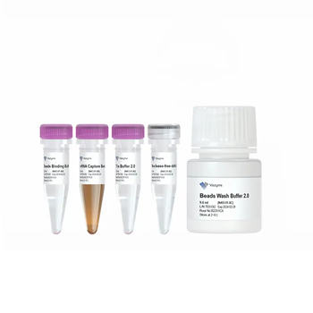 Vazyme - VAHTS mRNA Capture Beads 2.0