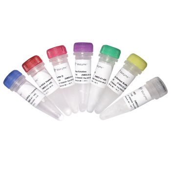 Vazyme - Discover-sc Single Cell WGA Kit