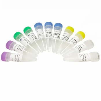 Vazyme - Discover-sc WTA Kit V2