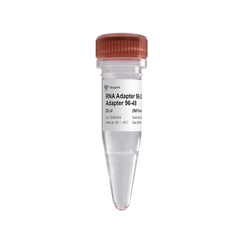 Vazyme - VAHTS RNA Adapters set 5 for Illumina