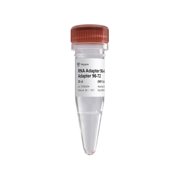 Vazyme - VAHTS RNA Adapters set 5 for Illumina