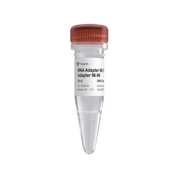 Vazyme - VAHTS RNA Adapters set 5 for Illumina