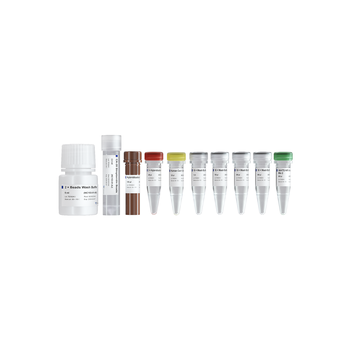 Vazyme - VAHTS Target Capture Hybridization and Wash Kit