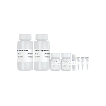 Vazyme - RoomTemp Sample Lysis Kit