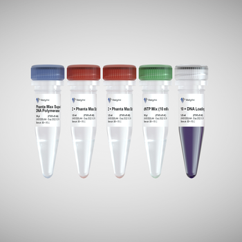 Vazyme - Phanta Max Super-Fidelity DNA Polymerase