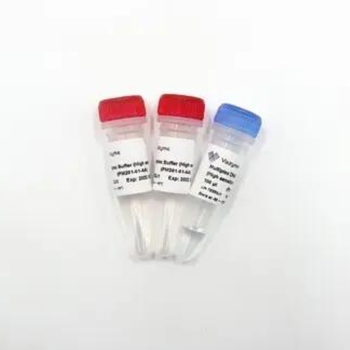 Vazyme - Taq Pro Multiplex DNA Polymerase (High sensitivity)