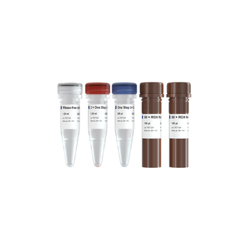 Vazyme - HiScript II U+ One Step qRT-PCR Probe Kit