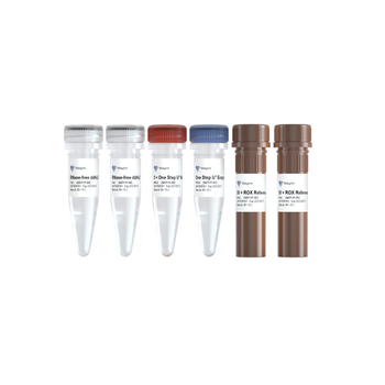 Vazyme - AccurSTART U+ One Step RT-qPCR Probe Kit (FOR FAST)