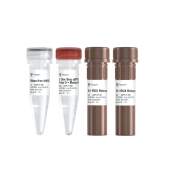 Vazyme - HiScript III U+ One Step qRT-PCR Probe 5 × Master Mix