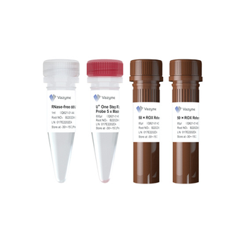 Vazyme - AccurSTART U+ One Step RT-qPCR Super PreMix (ONE TUBE)