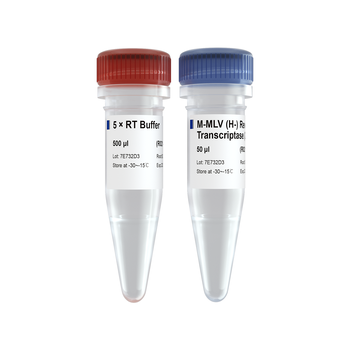 Vazyme - M-MLV (H-) Reverse Transcriptase