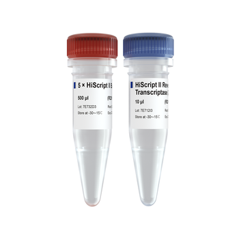 Vazyme - HiScript II Reverse Transcriptase