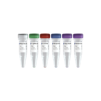 Vazyme - HiScript III 1st Strand cDNA Synthesis Kit (+gDNA wiper)