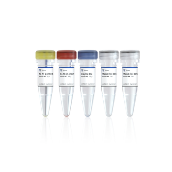 Vazyme - HiScript III All-in-one RT SuperMix Perfect for qPCR