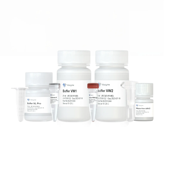 Vazyme - FastPure Viral DNA/RNA Mini Kit Pro