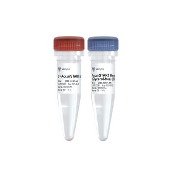 Vazyme - AccurSTART Reverse Transcriptase (Glycerol-free)