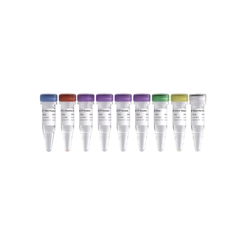 Vazyme - T7 High Yield RNA Transcription Kit