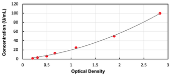 Human AANAT ELISA Kit