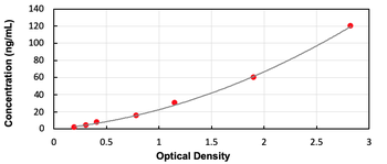 Human FLNa ELISA Kit (Ready to Use)