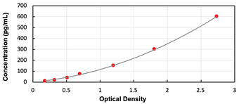 Rat bTC ELISA Kit (Ready to Use)