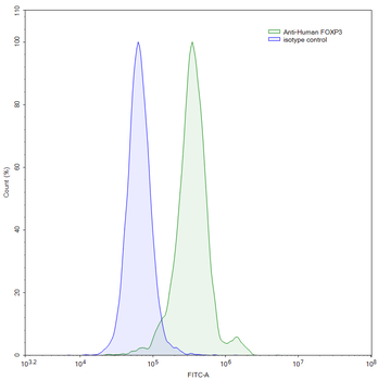 FOXP3 Monoclonal Mouse Monoclonal Antibody