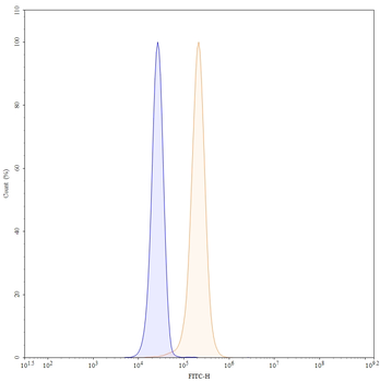 FOXP3 Monoclonal Mouse Monoclonal Antibody