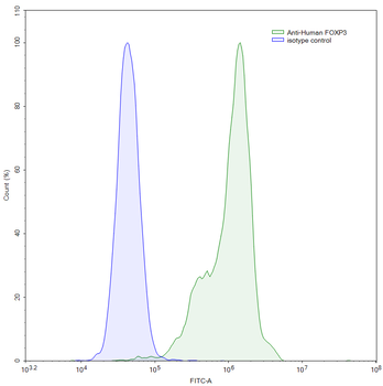 FOXP3 Monoclonal Mouse Monoclonal Antibody