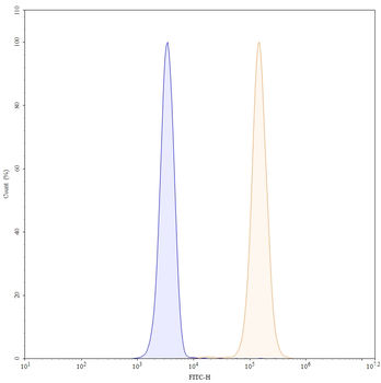 FOXP3 Monoclonal Mouse Monoclonal Antibody