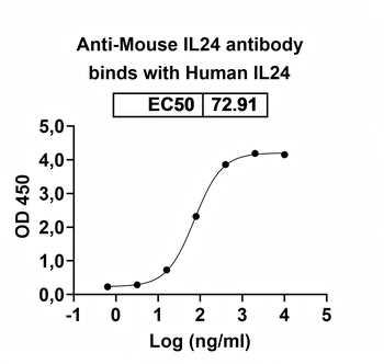IL24 Human Monoclonal Antibody
