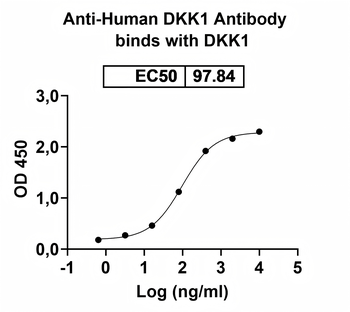 DKK1 Human Monoclonal Antibody