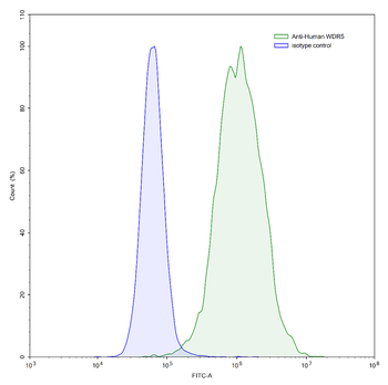WDR5 IP Mouse Monoclonal Antibody