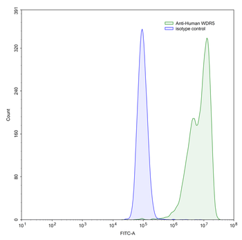 WDR5 IP Mouse Monoclonal Antibody