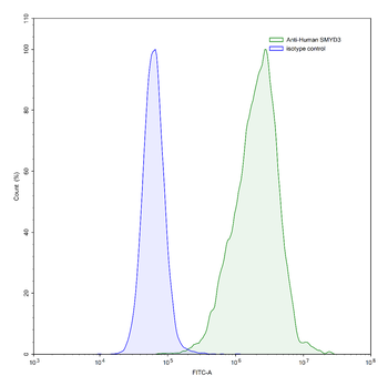 SMYD3 IP Mouse Recombinant Antibody