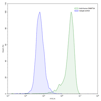 DNMT3A IP Mouse Monoclonal Antibody