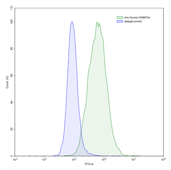 DNMT3A IP Mouse Monoclonal Antibody