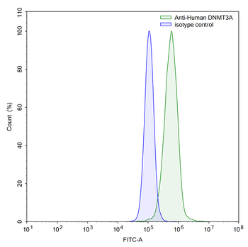DNMT3A IP Mouse Monoclonal Antibody
