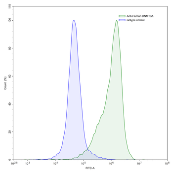 DNMT3A IP Mouse Monoclonal Antibody