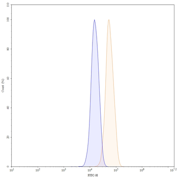 DNMT3A IP Mouse Monoclonal Antibody
