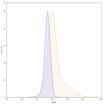 DNMT3A IP Mouse Monoclonal Antibody