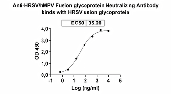 HRSV/hMPV Fusion glycoprotein Neutralizing Human Monoclonal Antibody