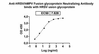HRSV/hMPV Fusion glycoprotein Neutralizing Human Monoclonal Antibody