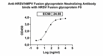 HRSV/hMPV Fusion glycoprotein Neutralizing Human Monoclonal Antibody
