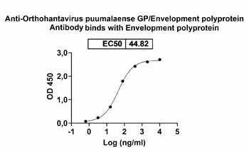 Orthohantavirus puumalaense GP/Envelopment polyprotein Human Monoclonal Antibody
