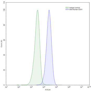 CD31/PECAM1 Mouse Monoclonal Antibody