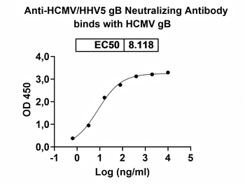 HCMV/HHV5 gB Neutralizing Human Monoclonal Antibody