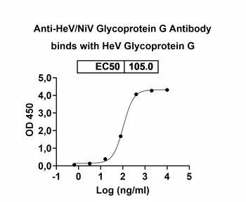 HeV/NiV Glycoprotein G Human Monoclonal Antibody